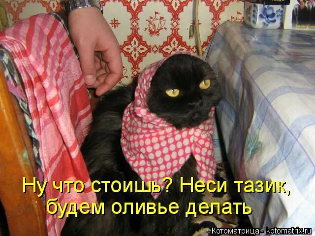 Принеси мне рояль из залы на нём моя рюмка коньяка. Стоять на часах происхождение фразеологизма. Стоять стоишь нести несешь. Глаголы движения. Что ты несешь.