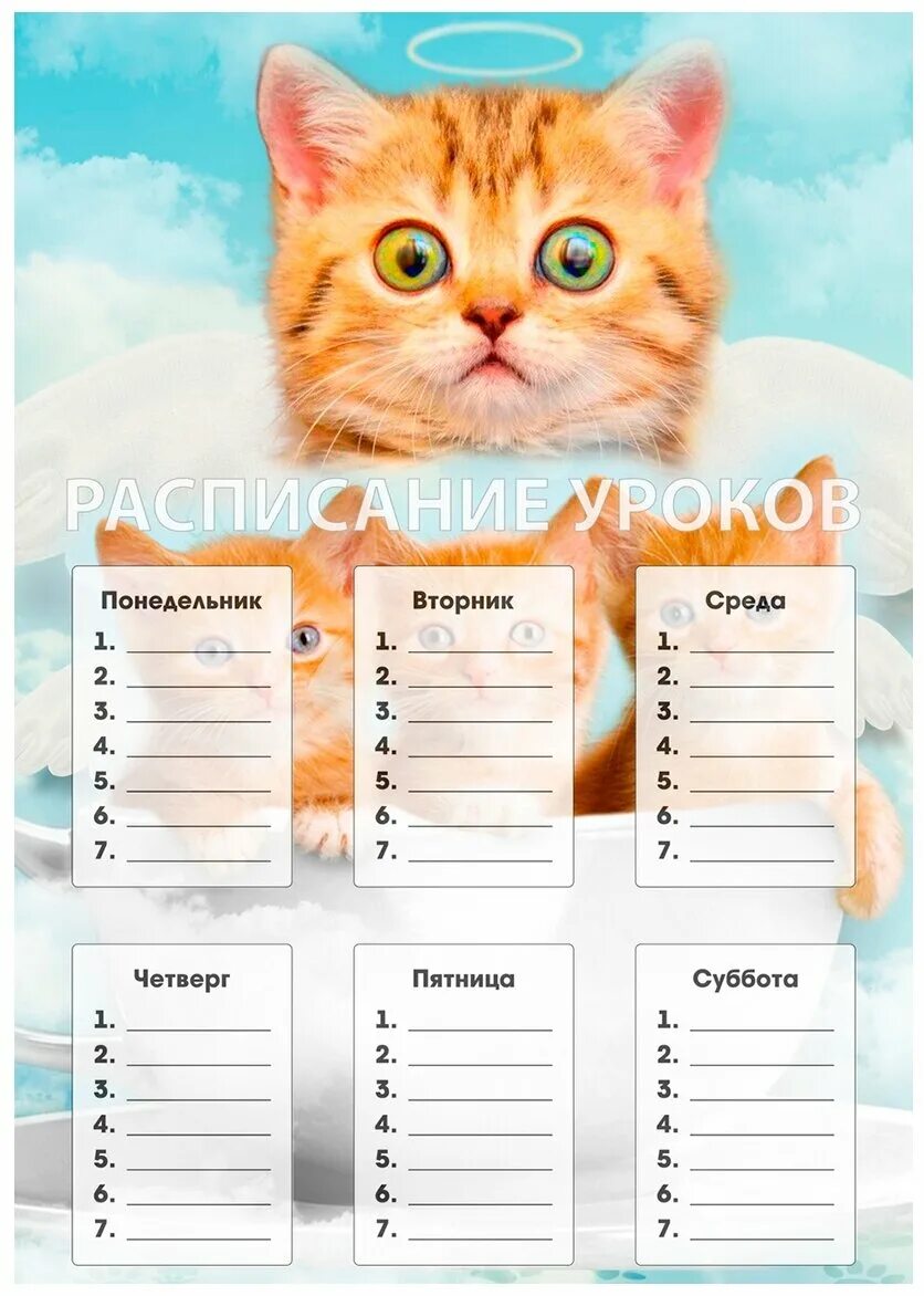 расписание уроков с животными. расписание уроков с котами. расписание уроков для подростков. расписание уроков с котиками. расписание уроков "кошки".