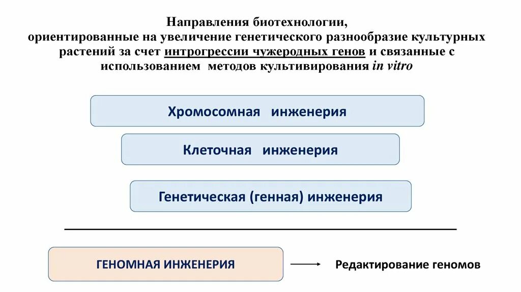 Основные развития биотехнологии. Направления биотехнологии. Основные направления биотехнологии. Направления современной биотехнологии таблица. Современные направления биотехнологии.