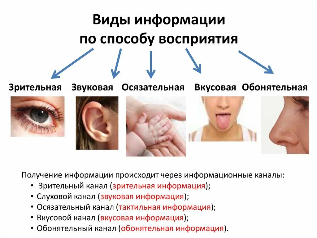 Восприятие информации. Зрительный способ восприятия информации. Способы восприятия. Типы и способы восприятия информации.