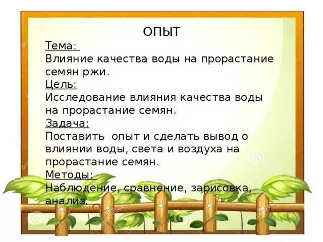 Влияние воздуха на прорастание семян фасоли. Влияние тепла на прорастание семян. Как влияет полив на прорастание семян. Стадии развития проростка. Как влага влияет на прорастание семян.