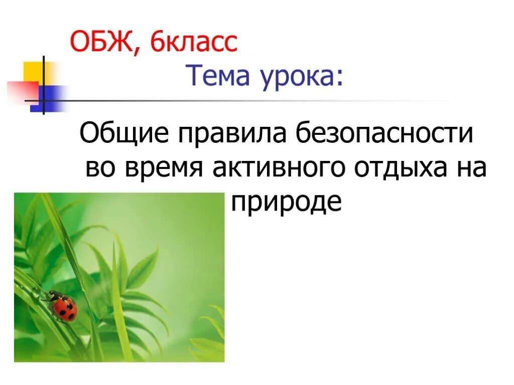 Выберите время отдыха которое по общему правилу. Правила безопасности во время отдыха на природе. Общие правила безопасности во время активного отдыха. Правила активного отдыха на природе. Основные правила безопасности во время активного отдыха на природе.