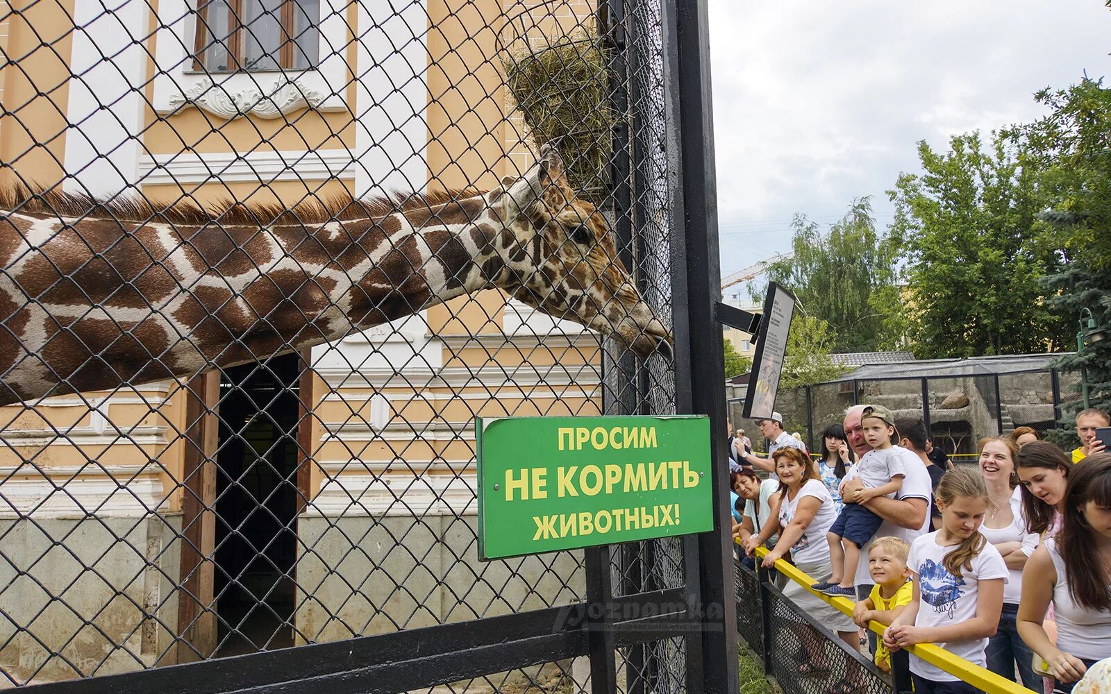 Зоопарк москва баррикадная цены. Московский зоопарк на Баррикадной. Зоопарк внутри Московский зоопарк. Территория Московского зоопарка. Зоологический парк в Москве.