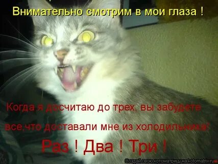 Досчитай до 3