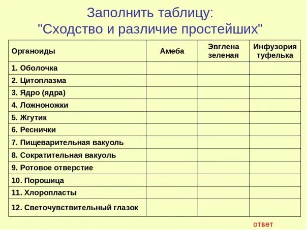 Сходства и различие простейших. Сравнительная таблица простейших. Сравнение строения простейших. Сравнительная характеристика простейших. Таблица по биологии простейшие.