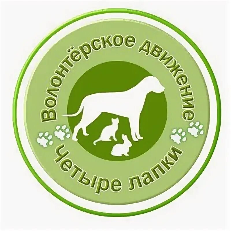 4 лапы луна. Четыре лапы. Четыре лапы Троицк. Четыре лапы логотип. Четыре лапы зелёный.