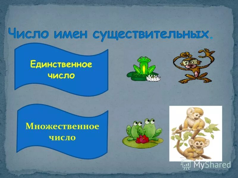 Имена прилагательные 2 класс. Как будет конфеты в единственном числе. Что такое глагол?. Имена существительные только во множественном числе. На какие вопросы отвечают глаголы единственного числа?.