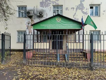 Приставы пушкино телефон