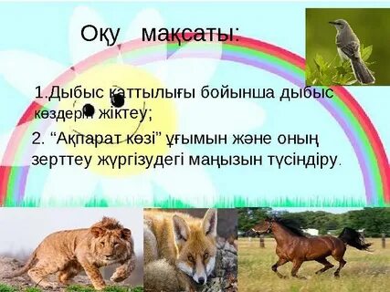 Қыздарға жыныстық қозғалысты үйрету