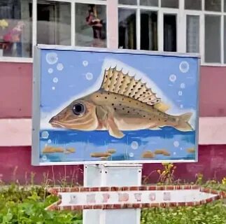 Золотая рыбка оренбург