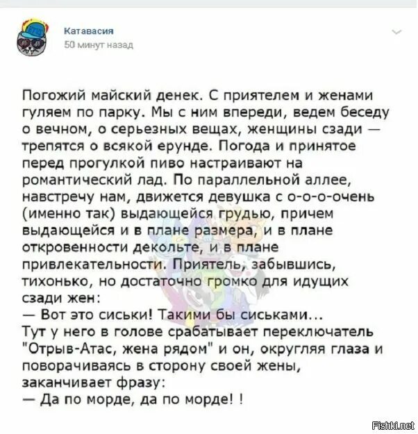 Катавасия. Катавасия что это такое простыми словами. Что обозначает слово Котовазия. Катавасия текст. Выпускная катавасия плюс