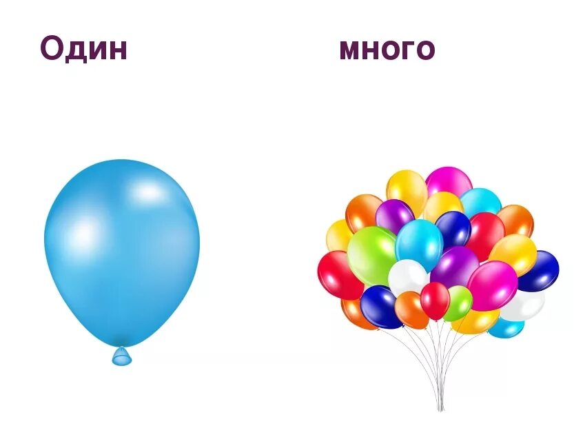 Картинки один много