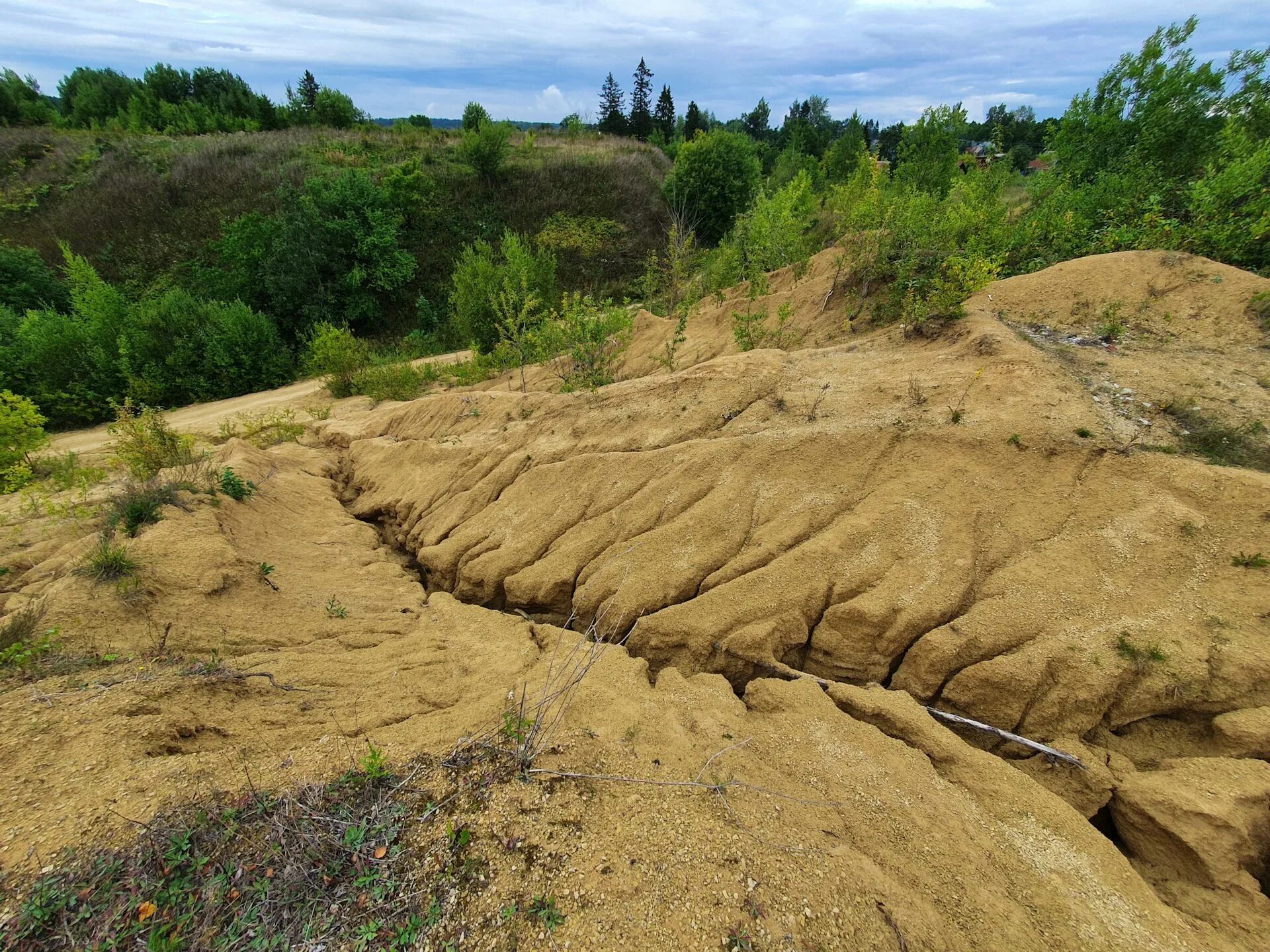 Гора лыска красноярск. Ни горы ни овраги. Ни горы ни овраги. Ни горы ни овраги. Овраги среднерусской возвышенности.
