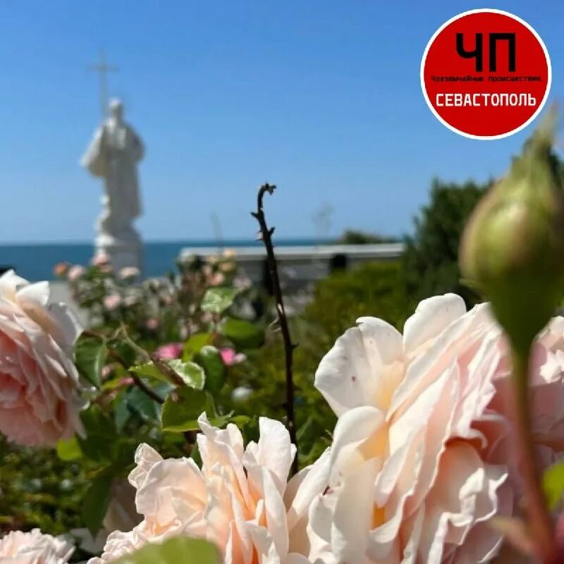 Чп севастополь телеграмм канал. Чп севастополь телеграмм канал. Чп севастополь телеграмм канал. Чп севастополь телеграмм канал. Чп севастополь телеграмм канал.