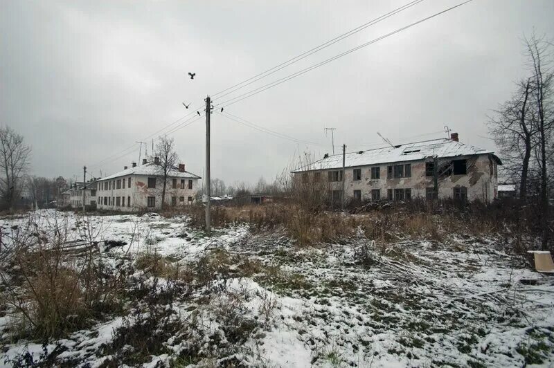 посёлок центральный тульская область. д арсеньево тульская область узловский р-н. погода пос центральный тульская обл. центральный поселок тула. поселок лесной узловский район.