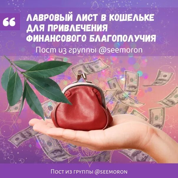 Лавровый лист для привлечения денег и удачи. Лавровый лист в кошельке для привлечения. лавровый лист в кошельке для привлечения денег. лавровый лист в кошельк. заговор на лавровый лист в кошелек.