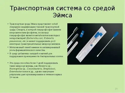 Транспортная среда
