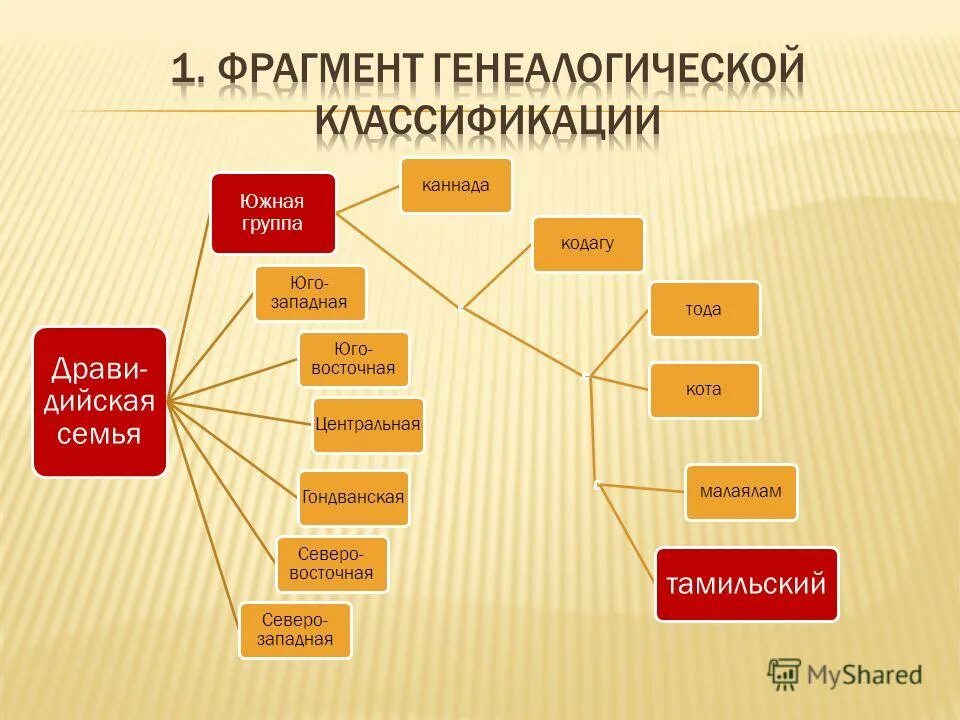 финно-угорский сепаратизм. языковые группы дравидийской семьи. дравилская ящыковпч семья. тамилы какая языковая семья. дравидийская семья народы.