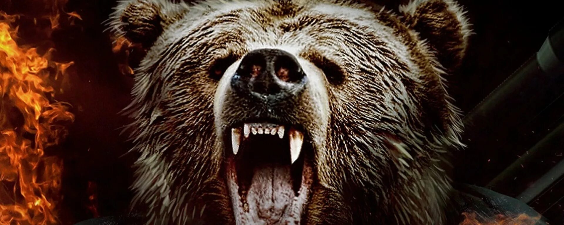 Русская медведь сил. Злой медведь. Русский медведь. Оскал медведя. Разъяренный медведь.