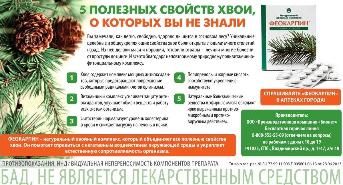 Противопоказания хвойных. Препараты на хвои. Хвоя лекарство. Лекарственное использование сосны. Препараты из хвои ели.