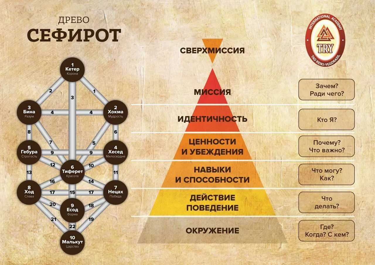 Место в социуме 6 букв. Древо жизни Каббала Сефироты. Каббала Древо жизни 10 Сефирот. Древо Сефирот и человек. Дерево Сефирот Древо жизни арканы.