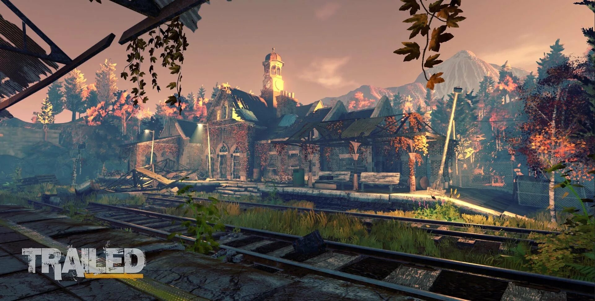 The gaming project
