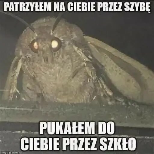 Иди и буди