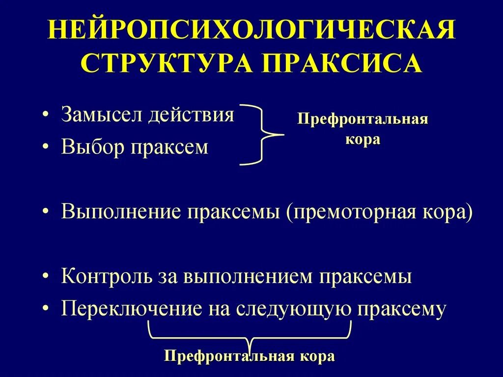 Нейропсихологические синдромы таблица. Структура нейропсихологии. Концепция нейропсихологического фактора. Структура нейропсихологии. Основные понятия нейропсихологии.