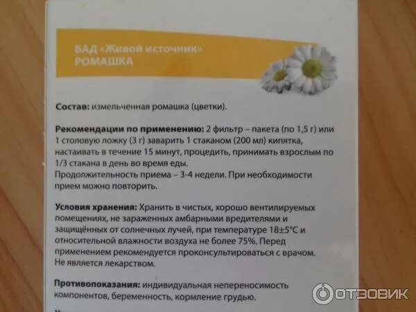 Можно пить ромашку при беременности