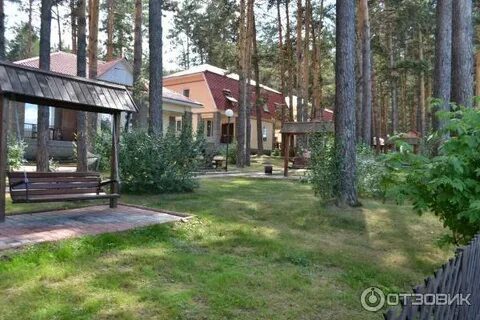 Сайт дружба красноярск