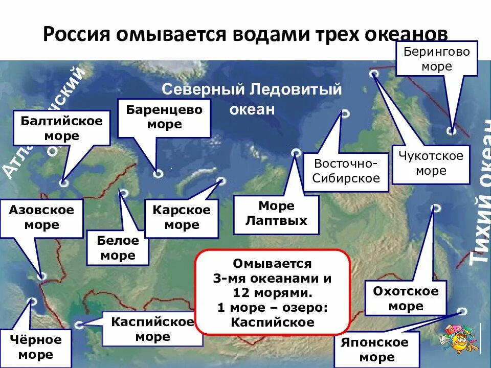 Океаны россии 5. Моря и океаны омывающие Россию 8 класс география. Моря Северного Ледовитого океана на карте России. Россия омывается водами океанов. Россия омывается тремя Океанами.