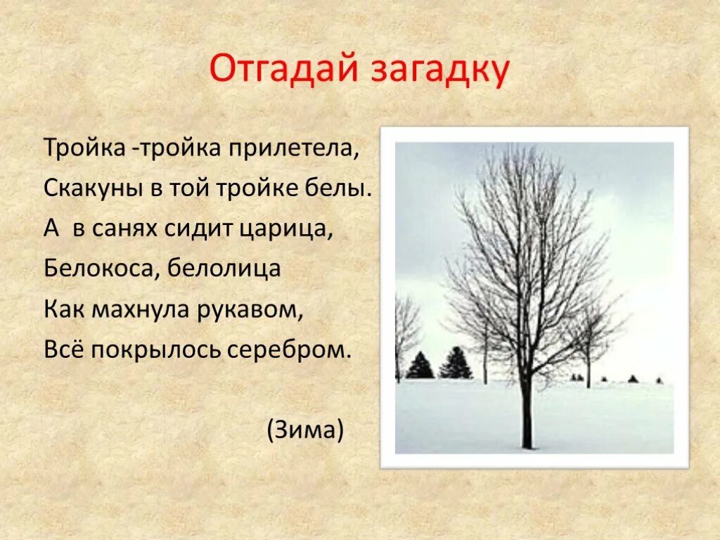 Отгадай загадку 1 класс. Загадка про зимний лес. Отгадай загадку картинка зимняя. Загадка маленькое озерко а дна не видно. Загадка маленькое озерко.