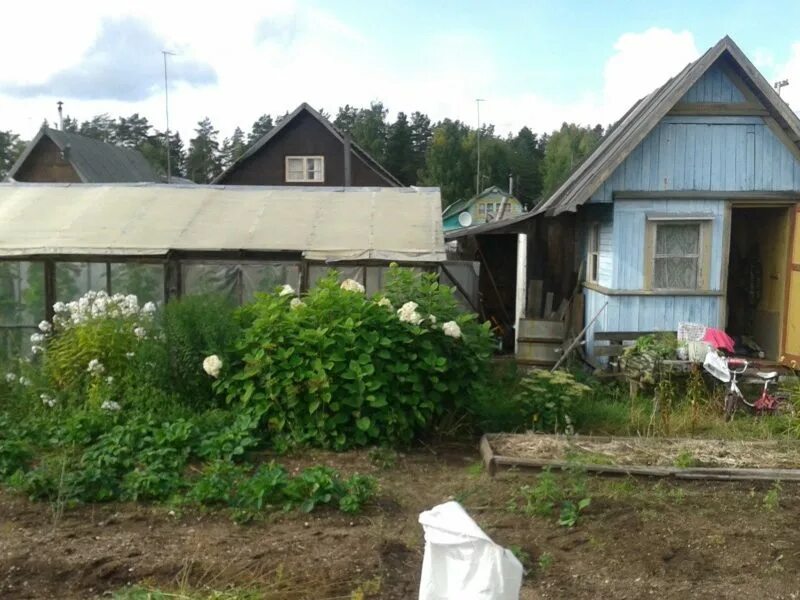 Бологое ул замостинская. Медведево бологовский район. Дача рашевского бологое. Тверская обл дачи. Медведево тверская область бологовский район.