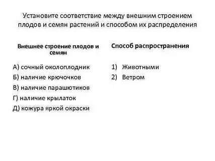 Установите соответствие между внешним воздействием на систему