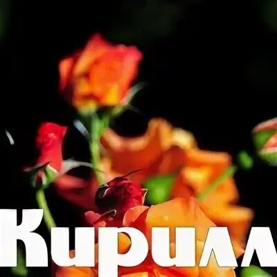 Думай 32