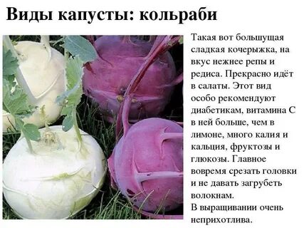 Сорта можно есть