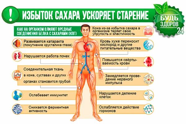 Влияние сладкого на организм человека. Вред сахара. Сладкое для организма. Влияние сладостей на организм. После употребления сладкого