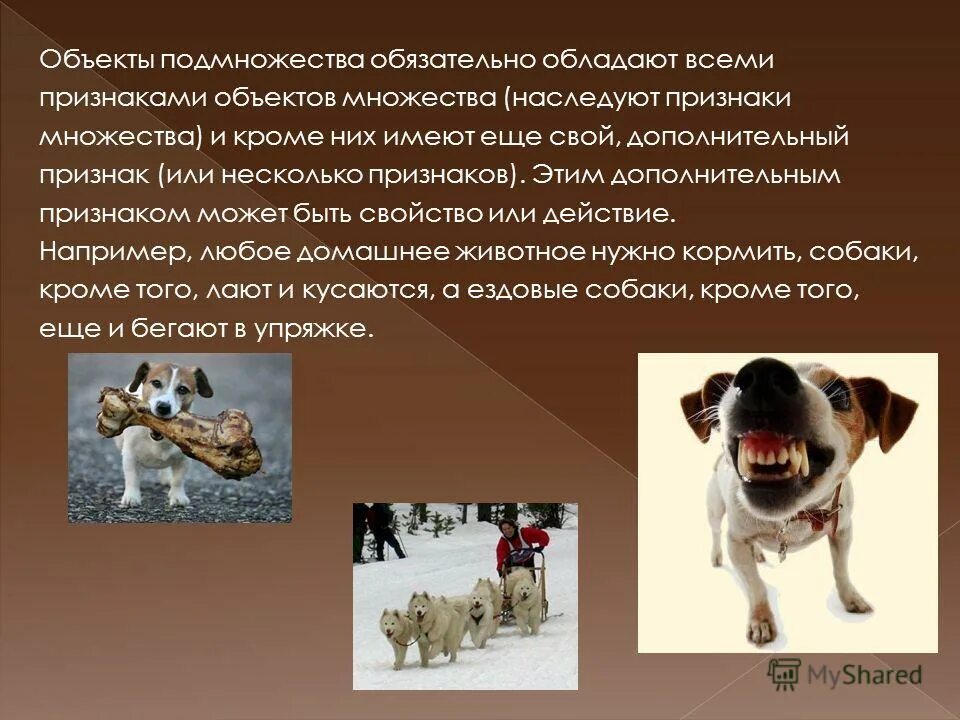 Подмножество объектов имеющих общие признаки называется. Множество объектов. объект обладает. множество подмножество дополнительный признак подмножества. дополнительный признак подмножества в информатике.