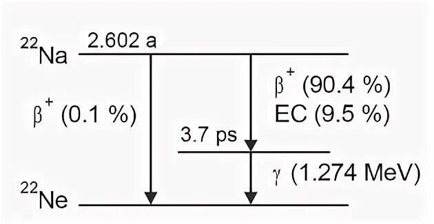 Схема распада RN 219. Схема распада натрия 22. Схема распада натрия 24. Схема распада кобальта 60. Изотоп натрия 22
