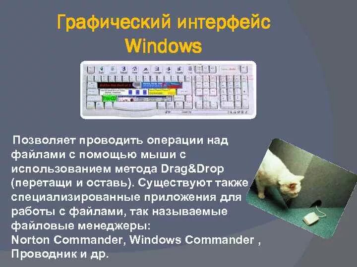 Мышка компьютерная правильная. Операции с помощью мыши. Какие операции можно выполнять с помощью мыши. Основные приемы управления мышью. Основные приёмы управления мыши.