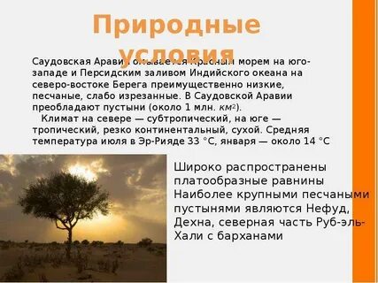 Природная зона саудовской аравии