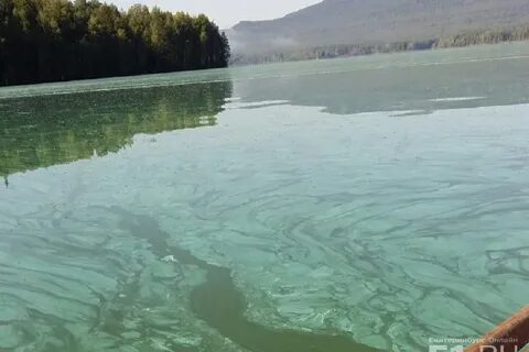 Вода нижний тагил