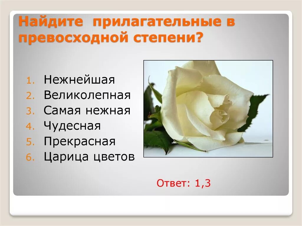 Прилагательное к слову использовать. Цветы прилагательные. Прилагательные к цветам. Красивые имена прилагательные цветы. Цветы с прилагательным.