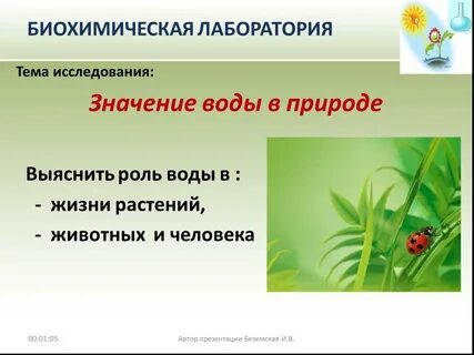 Что значит исследование