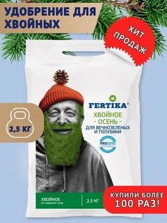 Фертика хвойное осень