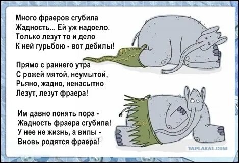 Жадность погубит