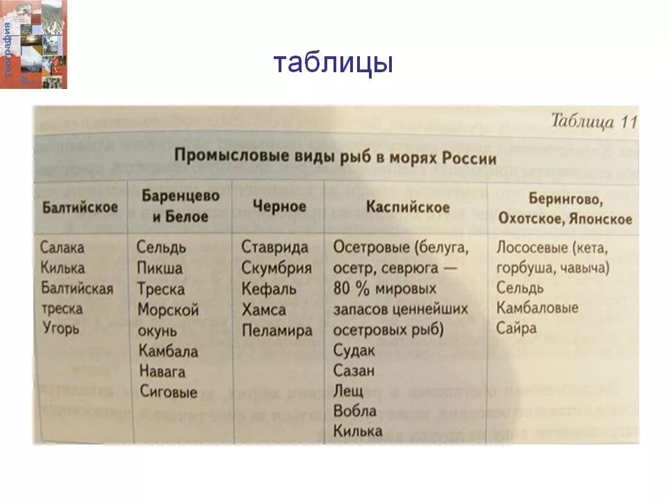 Южные моря россии география. Моря России таблица. Южные млре Росси таблиуа. Южные моря России таблица. Южные моря России таблица по географии.