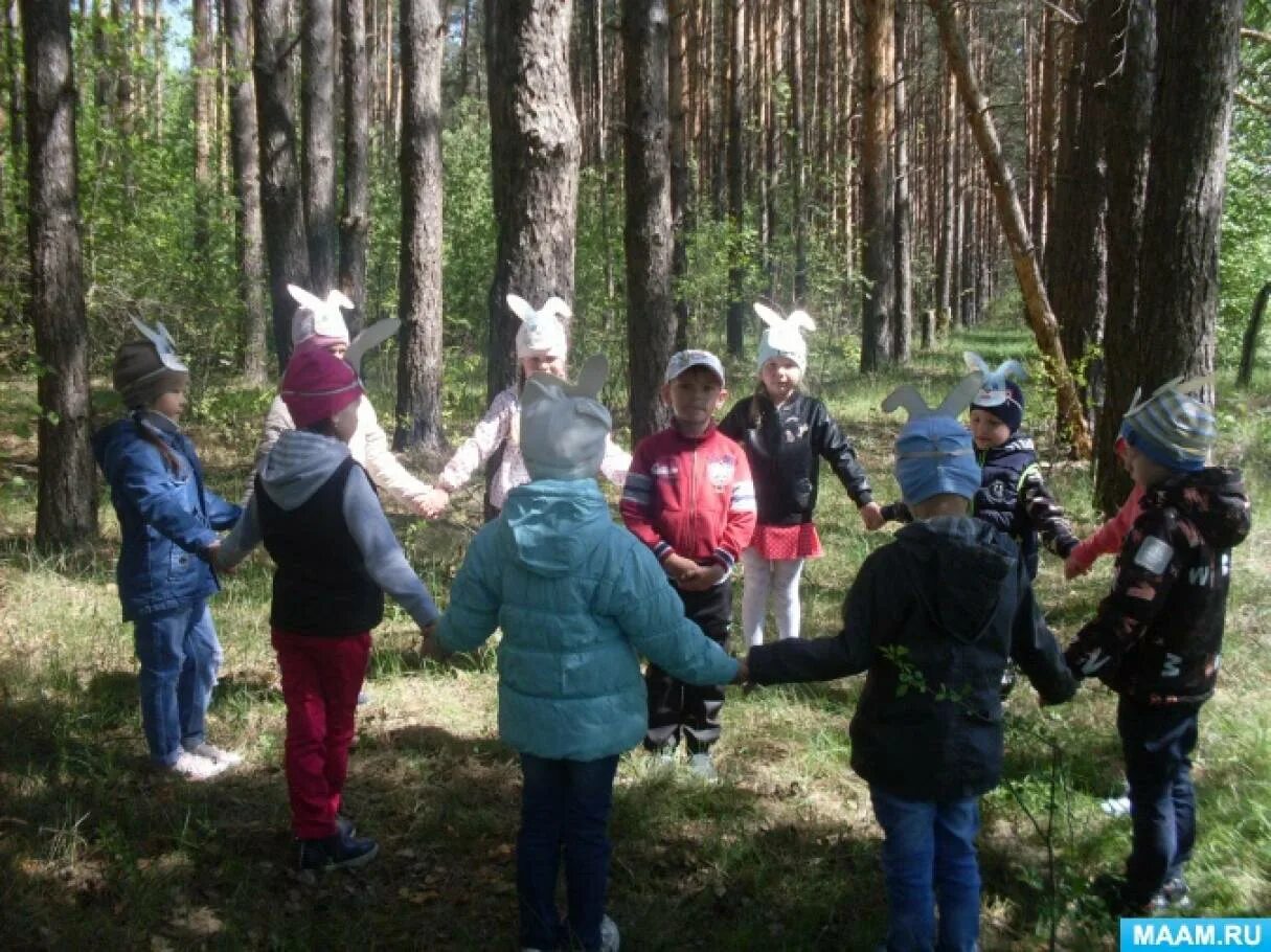 На экскурсии в лесу ребята