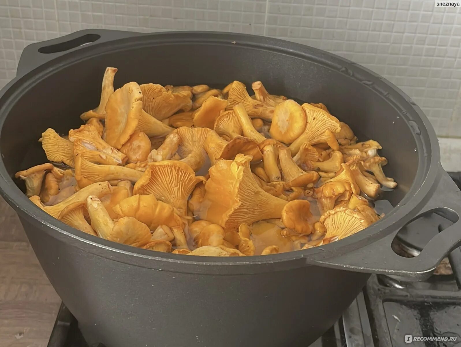 Как приготовить жареные лисички на зиму. Вкусные лисички. считаем лисичек.