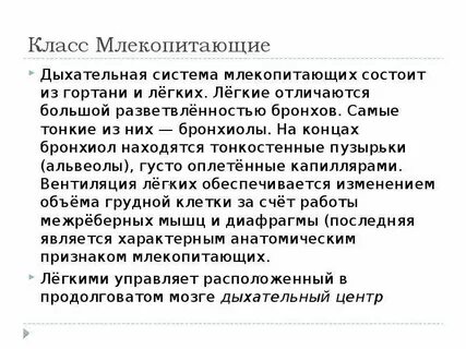 Класс млекопитающие дыхание